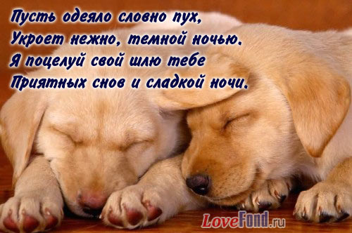 Пожелание спокойной ночи любимый парень Пожелание спокойной ночи любимый парень