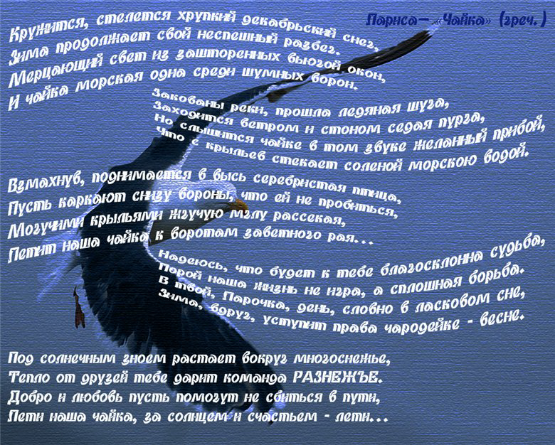 Поздравительная открытка для брата с днем рождения от сестры Поздравительная открытка для брата с днем рождения от сестры